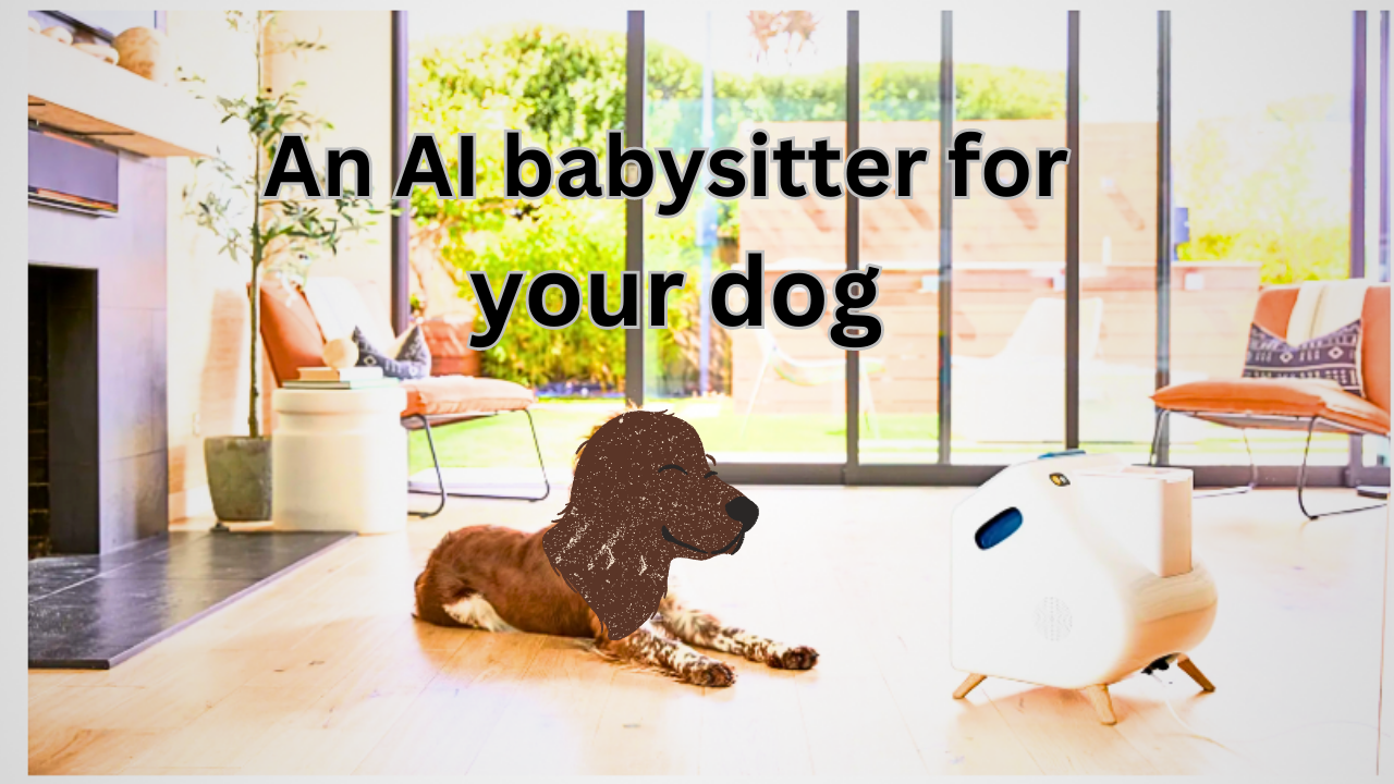 An AI babysitter for your dog